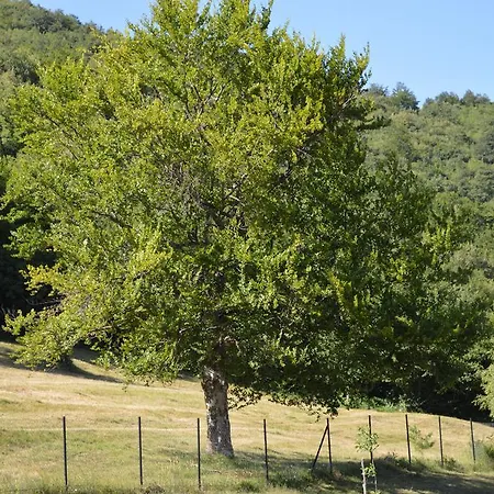 Σπίτι διακοπών Vacation Oaza Gorazde